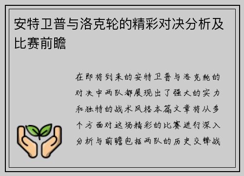 安特卫普与洛克轮的精彩对决分析及比赛前瞻